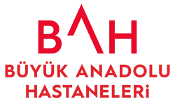 bah-logo